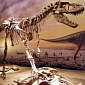 Cretaceous Dinosaurs Needed to Avoid Widespread Fires