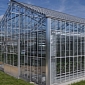 Crop-Friendly Solar Panels Developed for Greenhouses