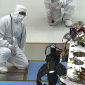 Curiosity Takes Its First 'Steps'