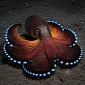 Custom-Made Blue Blood Keeps Octopuses Alive in Sub-Zero Temperatures