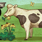 Cute Country Life Doodle on the Swedish Homepage