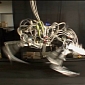 DARPA Robot Breaks Speed Record