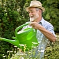 DIY Projects, Gardening Slash Heart Attack, Stroke Risk