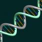 DNA 'Cages' to Facilitate Nanoparticle Self-Assembly