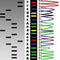 DNA Sequencing Is Just a Part of Understanding Diseases