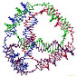 DNA Strands Can Be Turned into Molecular Wires