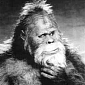 DNA Testing Reveals Bigfoot Is Part Human