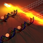 Stanford Uses DNA to Shape Graphene into Super Transistors