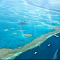 Damage to the Great Barrier Reef May Already Be Irreversible