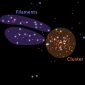 Dark Matter Cradles Star Formation