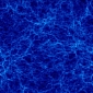 Dark Matter Evolved Just Like Normal Matter