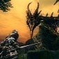 Dark Souls: Prepare to Die Edition Steam Transition Delayed Until December
