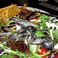 Dead Bird Found in Tesco Salad Bag