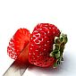 Decoding the Sequenced Strawberry Genome