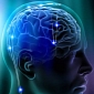 Deep Brain Stimulation Curbs Binge Eating, Penn Researchers Say