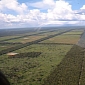 Deforestation in Africa Reduces Rainfall over Rainforests