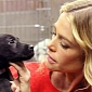 Denise Richards Rescues Puppy Left Homeless by Sandy
