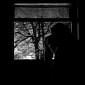 Depression Favored by Low Vitamin D Intake