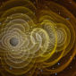 Detecting Gravitational Waves from Earth