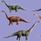 Did Dinosaurs Use Stones for Digestion?