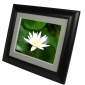 Digital Foci Announces Three New Photo Frames - Up to 15 Inches Wide