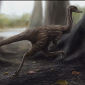Digs Reveal 'Roadrunner' Dinosaur