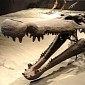 Dining Etiquette of Ancient Crocodiles That Fed on Dinosaurs Revealed