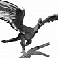 Dinobird Used to Wear Black and White, X-Rays Reveal