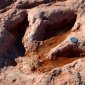 Dinosaur Tracks Found in Yemen