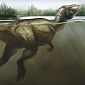 Dinosaurs Likely to Have Been Gifted Swimmers, New Evidence Suggests