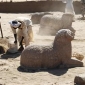 Discovered Statues Could Help Decipher Ancient African Language