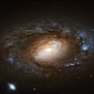 Distant Galaxy's Anatomy Revealed in Stunning Hubble Space Image