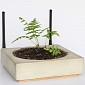 Do Not Disturb the Dirt, for This Dual-Band Router Is Also a Flower Pot
