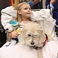 Dog Allowed in Surgery Room to Detect Allergic Reactions