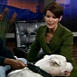 Dog Bites Denver TV Anchorwoman in the Face, Live on Air