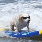 Dog Surf-A-Thon Coming This Weekend to California