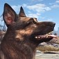 Dogmeat Can't Die in Fallout 4, Bethesda Confirms