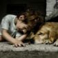 Dogs Can Heal Eczema in Kids