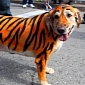 Dogs Dress Up for the Beggin' Pet Parade in St. Louis – Photo Gallery