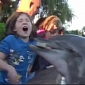 Dolphin Bites 8-Year-Old, SeaWorld Defends Protocols