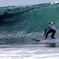 Dolphins Join People in Surfing Competition in California – Video