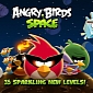 Download Angry Birds Space 1.6.9 for Android