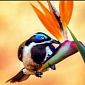 Download Microsoft's A Rainbow of Birds Theme for Windows 8.1