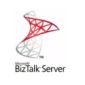 Download Microsoft's BizTalk Server 2010 Posters
