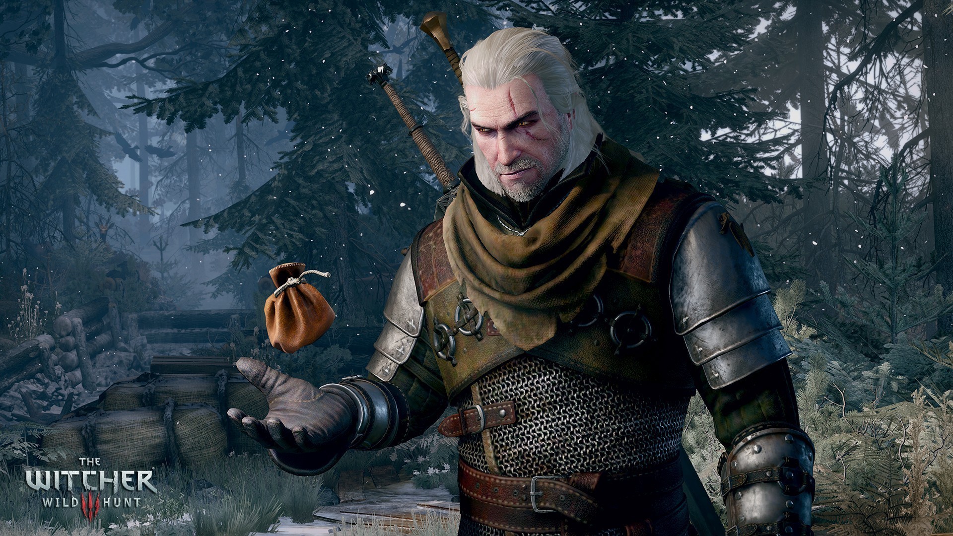 Dragon Age Inquisition Has Too Many Fetch Quests The Witcher 3 Designer Says