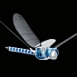 Dragonfly Robot Drone Created by Festo – Video