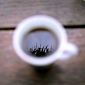 Drinking Coffee May Help Improve Long-Term Memories
