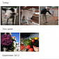 Dropbox's Photo Obsession Hits the Android App Redesign