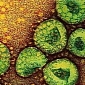 Drug Cocktail Might Help Treat Deadly MERS Virus Infections