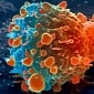 Drug Cocktail Obliterates Cancer Tumor Growing Inside Woman's Chest